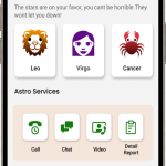 AstroInsight - Your Personal Astrologer